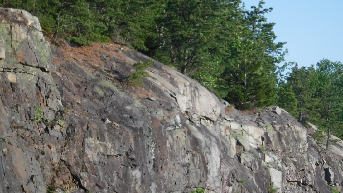 0E53618C-F769-4E57-AF36-1150BED4E663