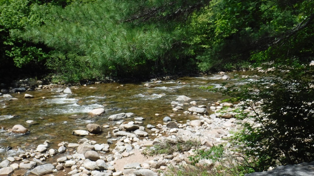 12A0FB24-D282-4551-9878-93CA3F065C18