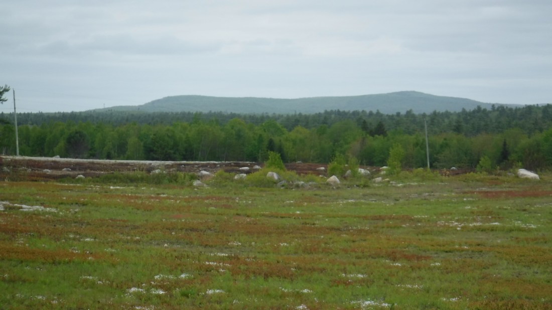 1304F773-D91A-46DA-BC38-A80318150B2F