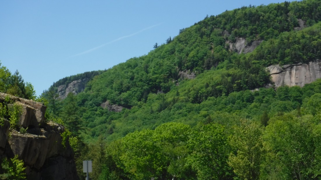 287BA474-1005-443A-8914-AA08779AF8A7