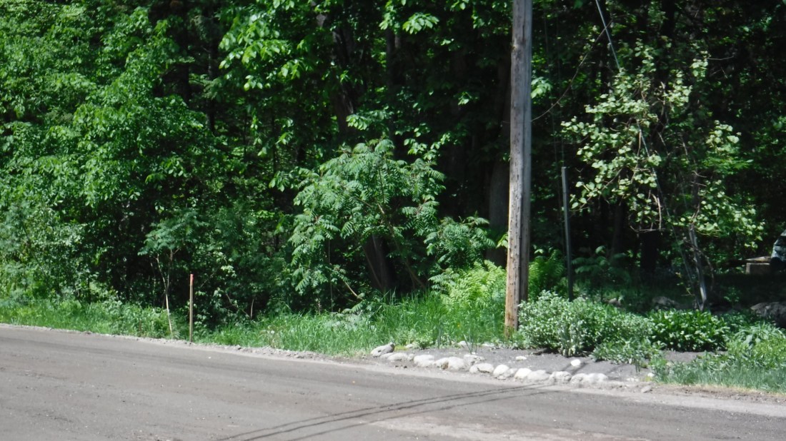 32827915-5716-43C3-8454-D2BBEF39211D