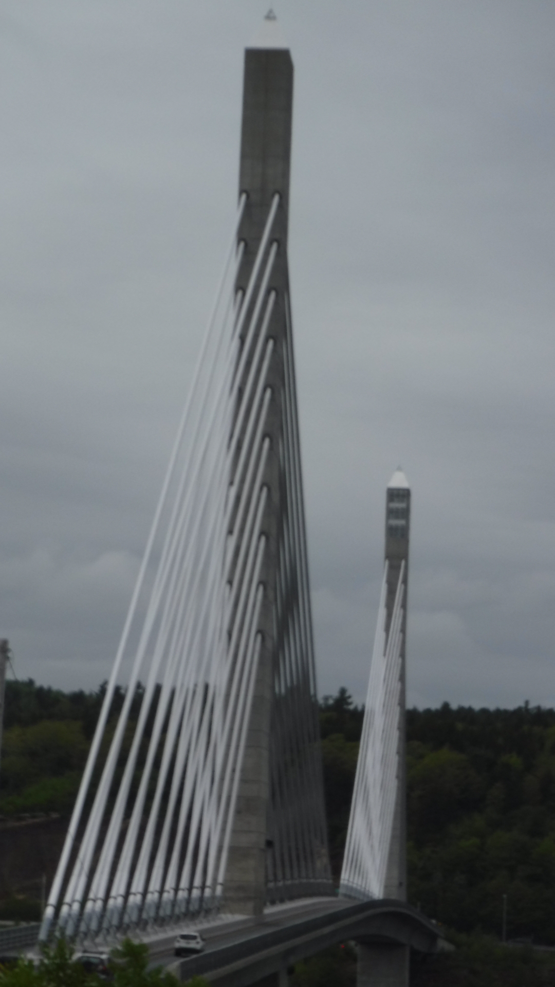 3C52842A-3265-4ACD-B4ED-CDA99EA8250A