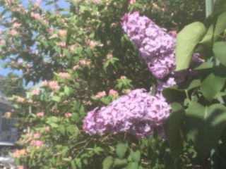 40CD6319-88A9-43C3-A4CA-05B7A36B8768