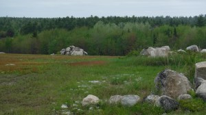 438E0CE3-3CFD-4CFD-8441-2B48C79D61B8