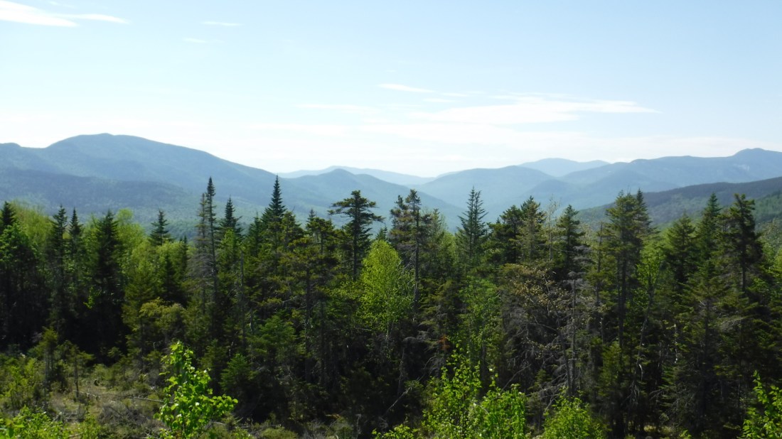 81F987EE-97EF-4B21-9168-B0F9FD14A1AA