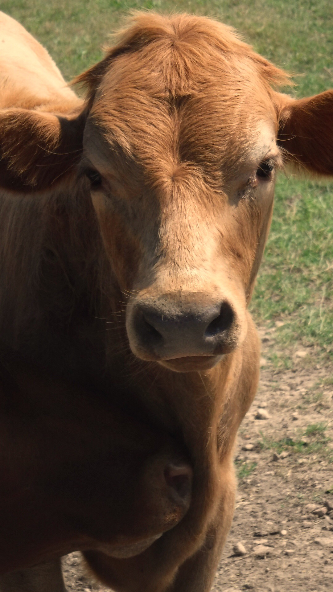 847F6D95-A6B3-4774-9430-92A88432A71F