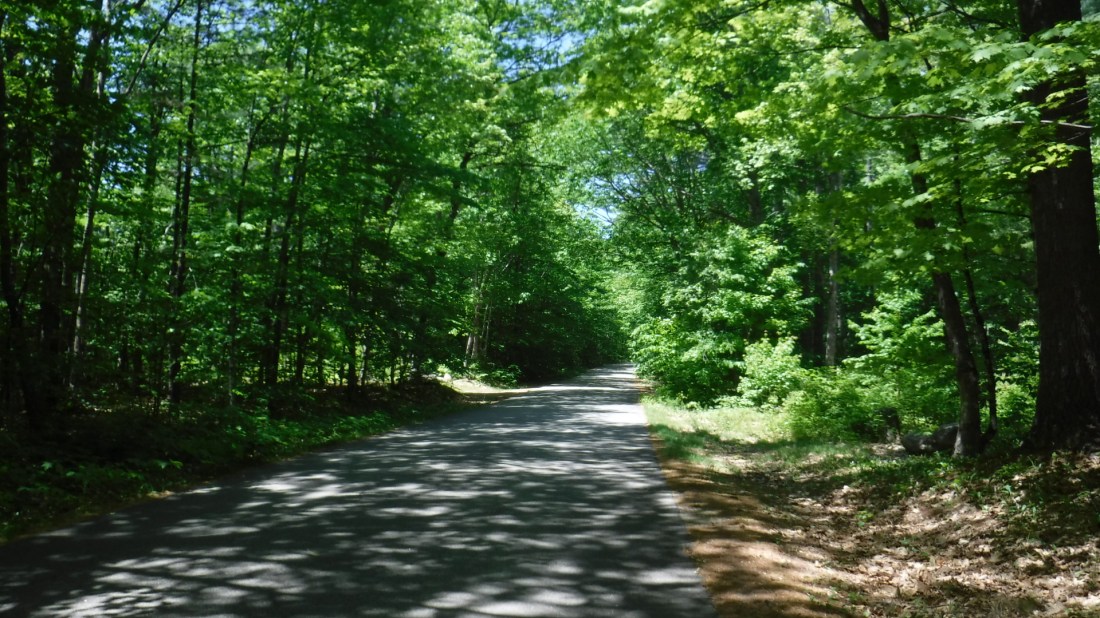 920098BA-F212-4AE5-A505-B861646A115D