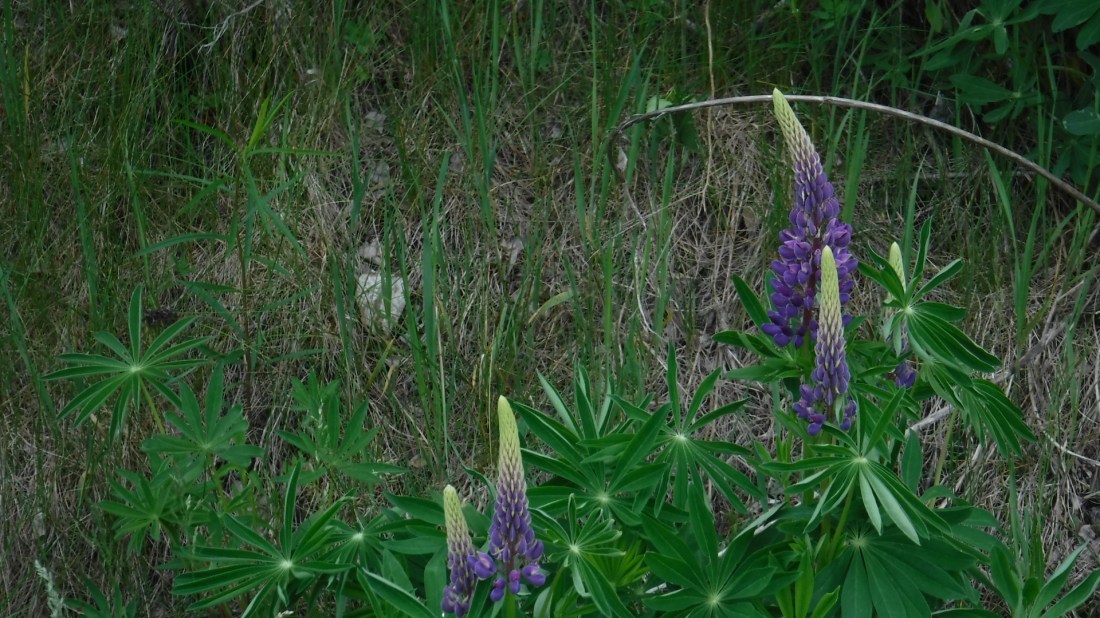 AA71A3F5-4181-40E7-BB3B-F4D1E6C9E1EB