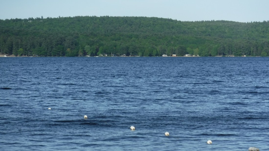 FAE16240-572E-454D-AA95-9EFCA4F36974