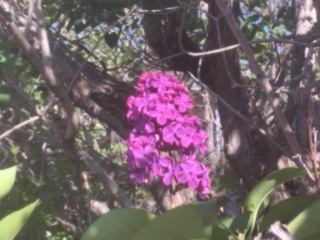 FC0E54F7-663D-4947-9DF6-286E6BEA2B56