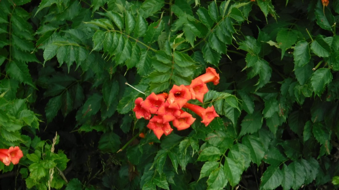 10F489E2-DCD4-4E59-A381-1ACE2E4EFA97