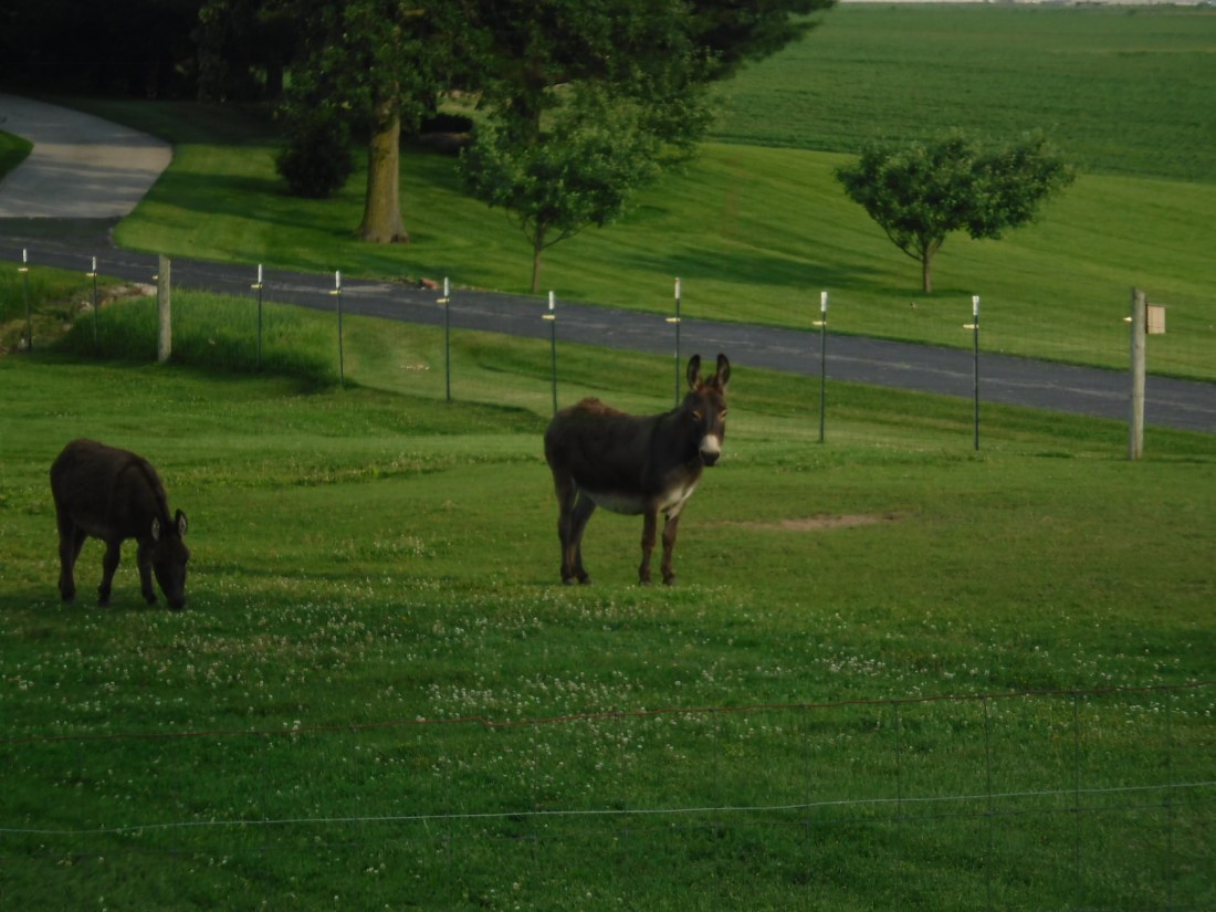 1AEC64A6-4073-45B4-9CE5-C3B89DCE0602