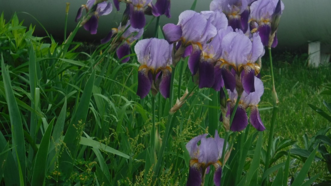 261B01EE-CC12-431D-839F-685FF0771A3D