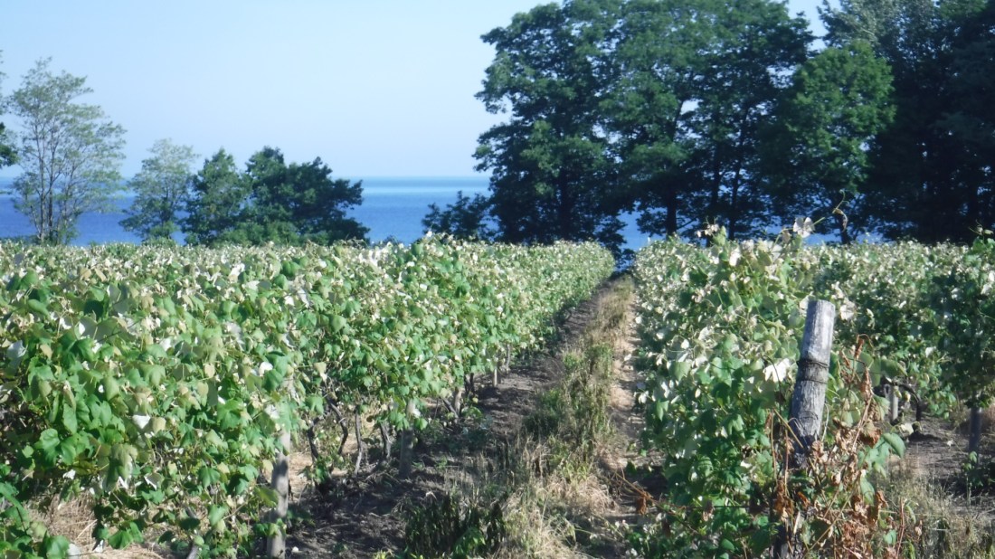 26A3789E-4F60-4977-BE4D-95EB3A0D5D4E