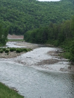 28A2396F-88F5-4685-8E15-AB66A1CCD0F0