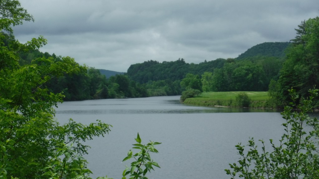 2900D1FD-C40F-42D6-B7A0-A81748585937