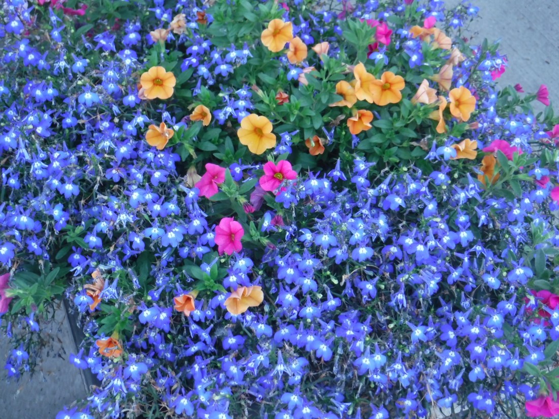 2ED4DF89-543B-4E2C-90CC-5B6288F1D3F1