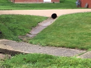 30586F8D-6E28-4DAD-A94E-65235B85E3ED