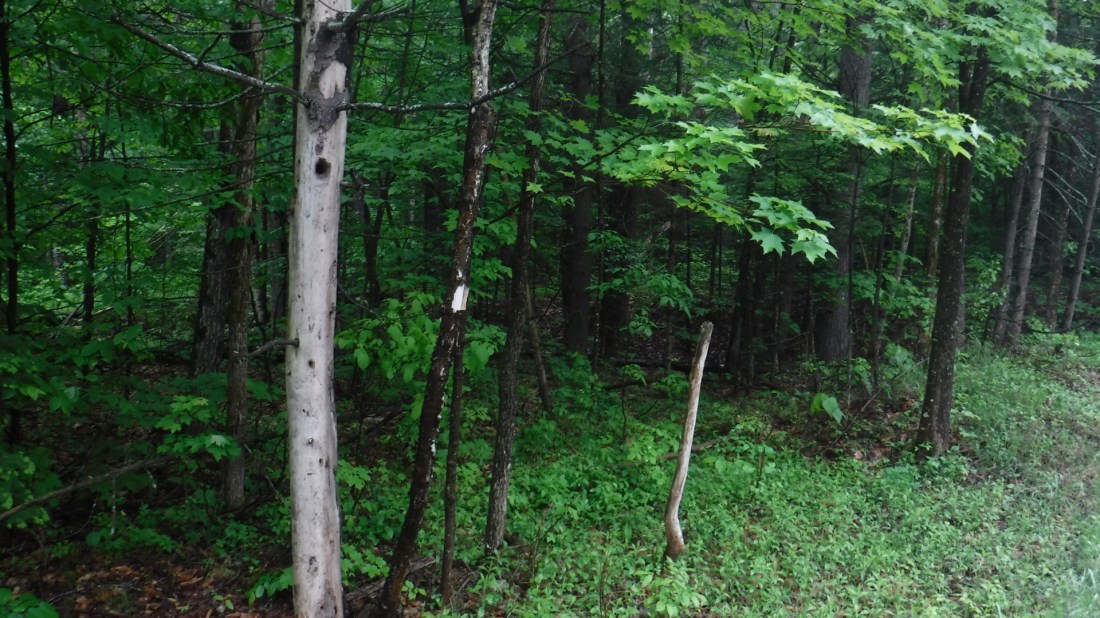 3D9141B7-06B6-4BA1-863C-4C748E52B25F