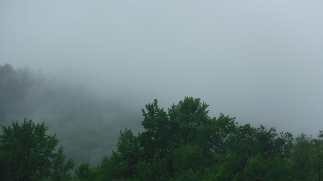 3DC3DE40-CA90-4A44-839F-8E56C4F5AE9F