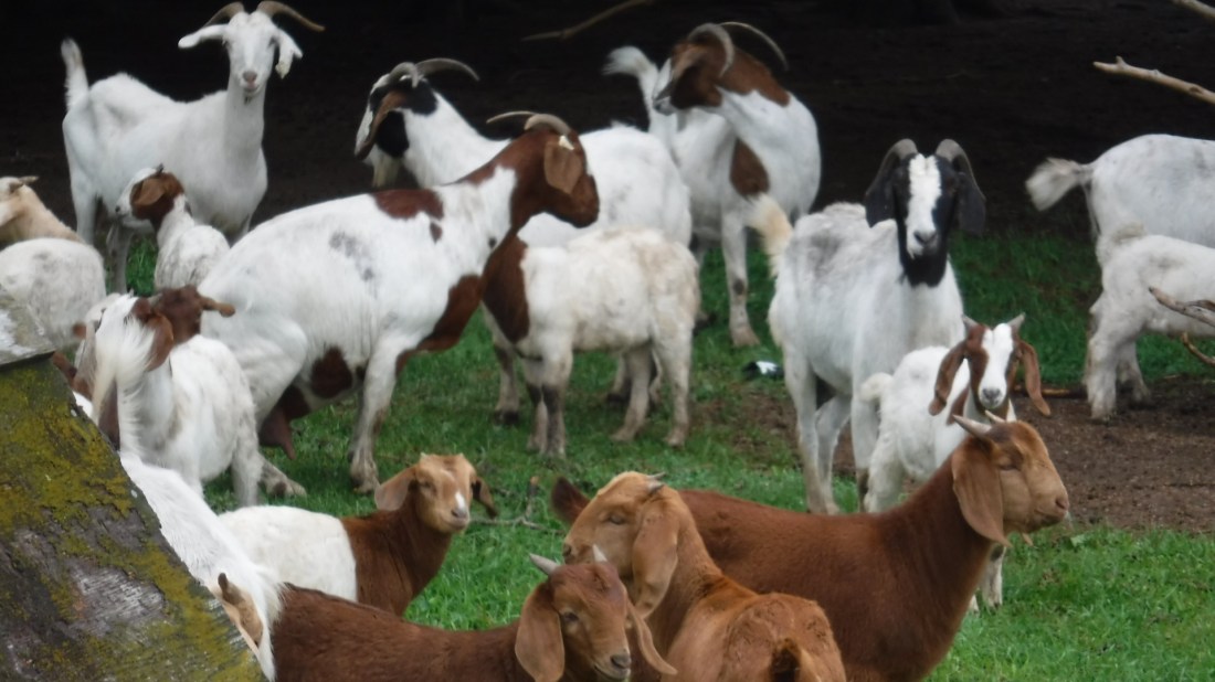 5D7170E0-5D40-4DFC-A8CC-EC4875A86D6C