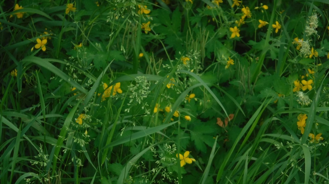 744D53AB-5384-470F-8F78-F18F2ECDE943