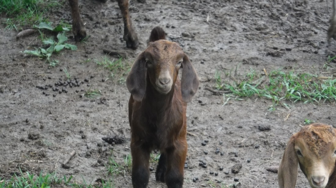 7E1741C1-A4C3-4000-8099-B02AE879D629