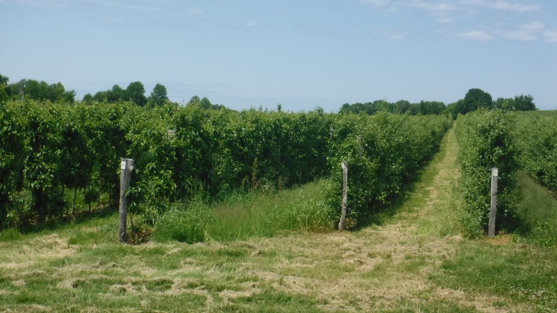 8953B12C-A76A-4514-A797-8C5A6149A16C