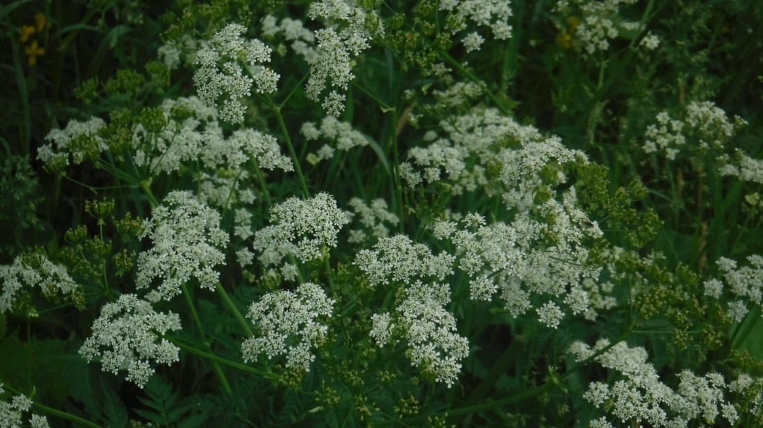 94B95E07-BF20-404C-8C55-AFF49633B2E3