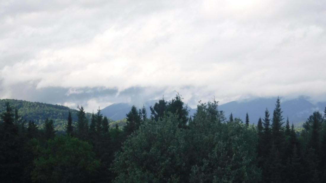 9790C747-5950-4F59-8085-6AA9F9C607DF