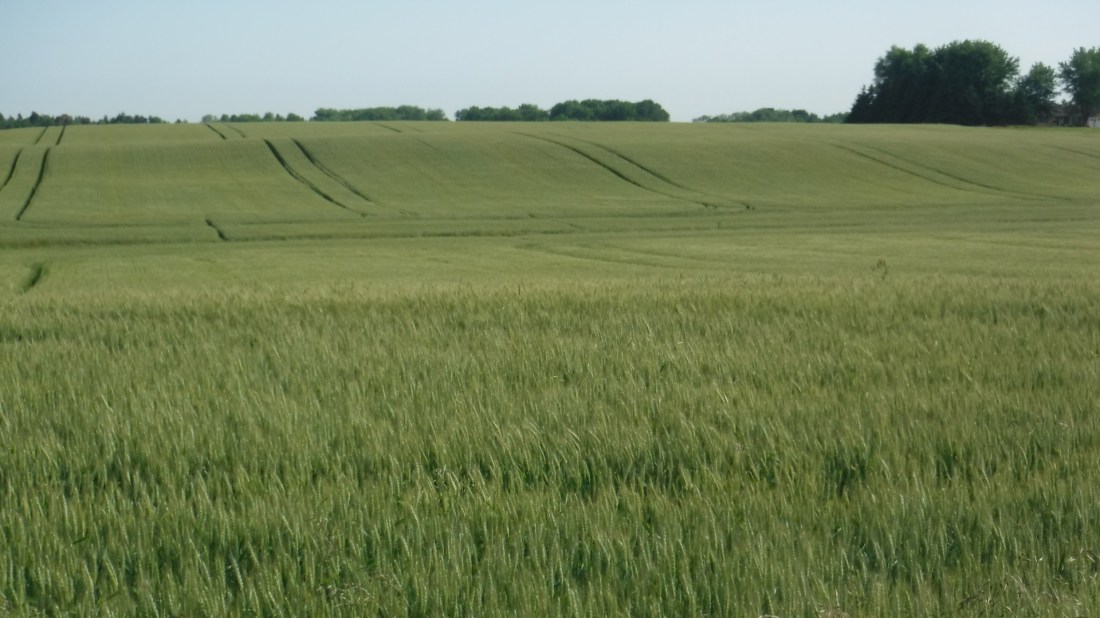 A4A2DC8D-ABE0-4227-B34D-DB8D05BBFEB6