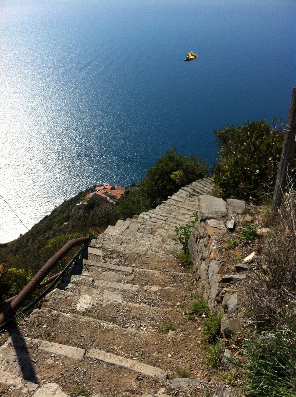 AA6AB441-1EF3-4457-9582-15875BC9013D