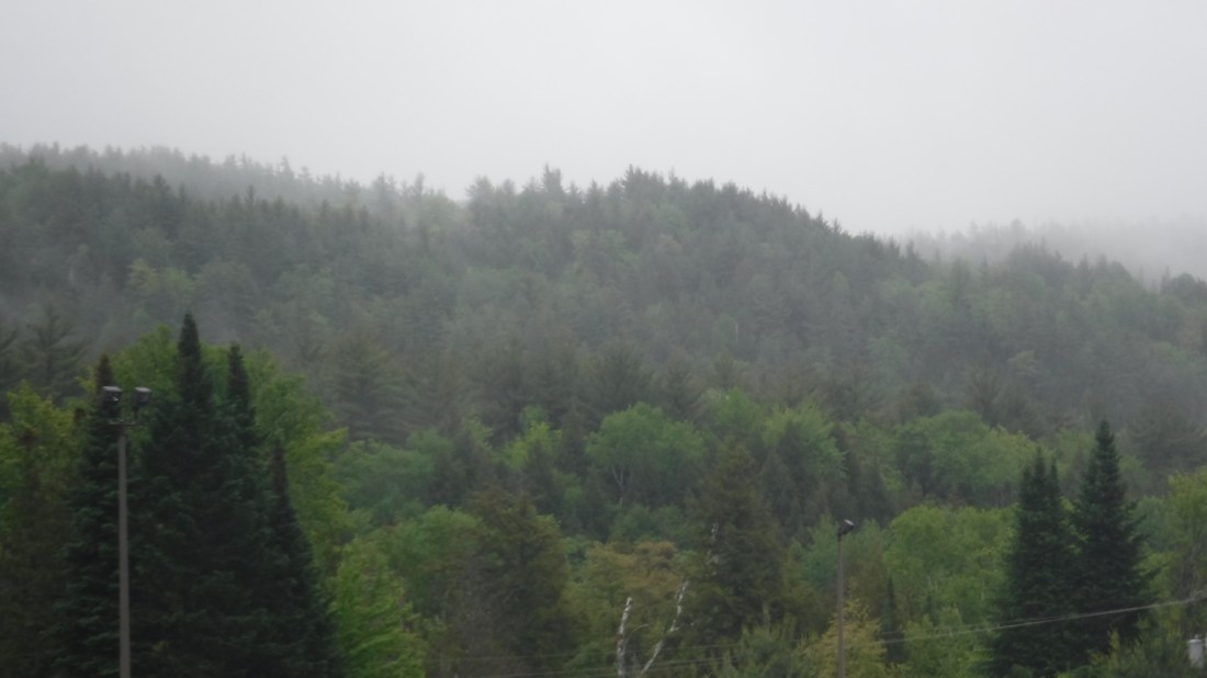 C3835F66-46CB-4401-8627-0744591E295E