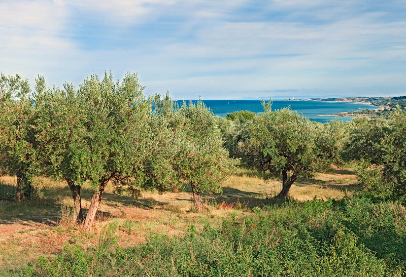 CE6E119D-D97F-42E1-A4CA-E2493E622254