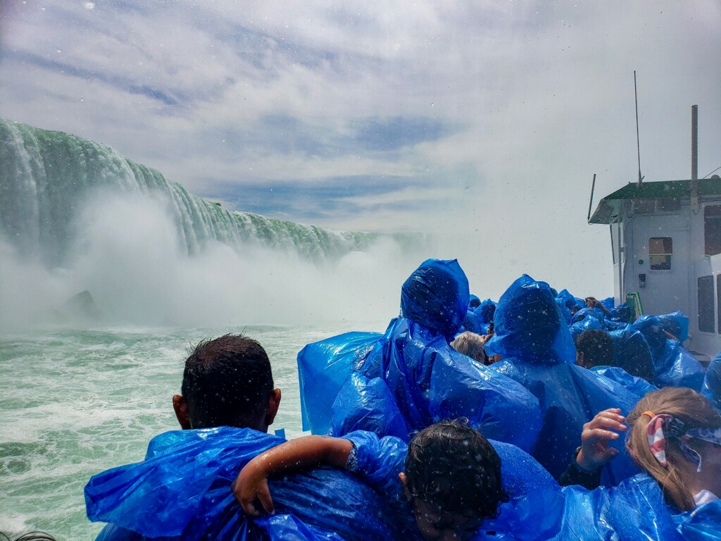 D6712D7A-C632-4A35-9A6D-4C0EFF264009