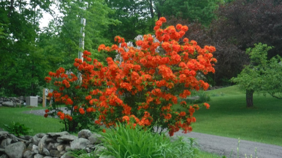 DD12F2B2-9EAC-490A-B381-26A2C9F6166B