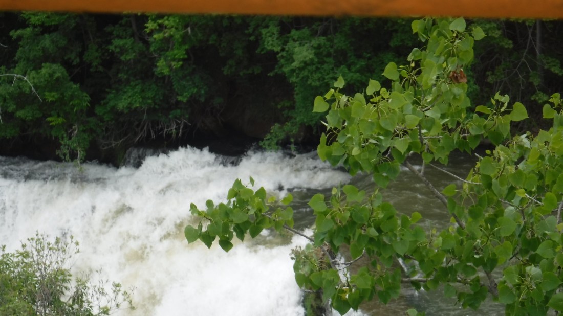 DECF77D5-186B-48EE-81EA-3750F00BC1DF