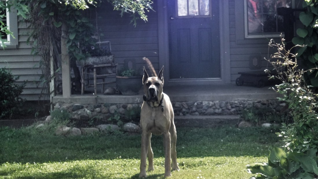 DF2D4A68-318C-4277-A5BB-E603BCA0240F