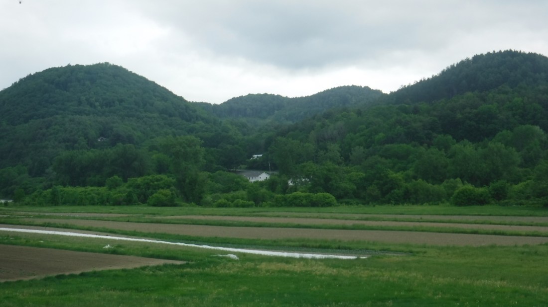 E30B2D1A-CB50-42A1-9F72-6BF81F9B742D