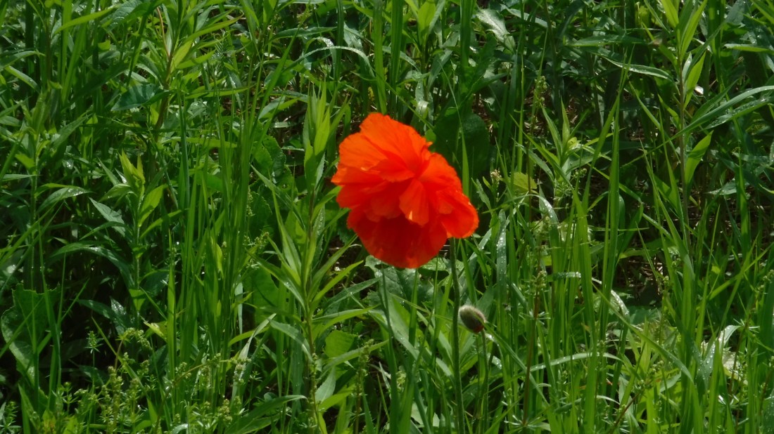 EFAF95EA-CE6E-41F2-9585-3E915368D67D