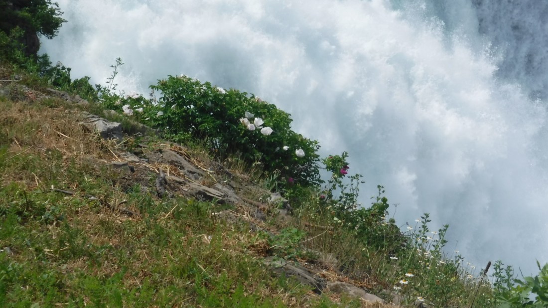 FDFCB9EB-EB71-4DFA-8305-188726B53352