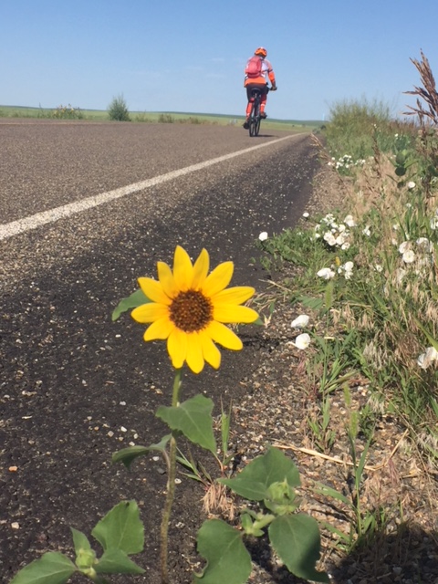 01C22B25-A814-4EEF-B9E5-371A2FC2543F