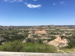 1C144EEE-D54C-4BC2-932E-BF59D8CF7FB5