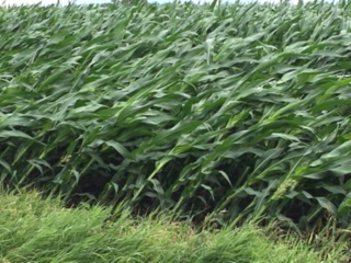 47E42EAA-89D3-4BEF-B5BF-7FAE22132570