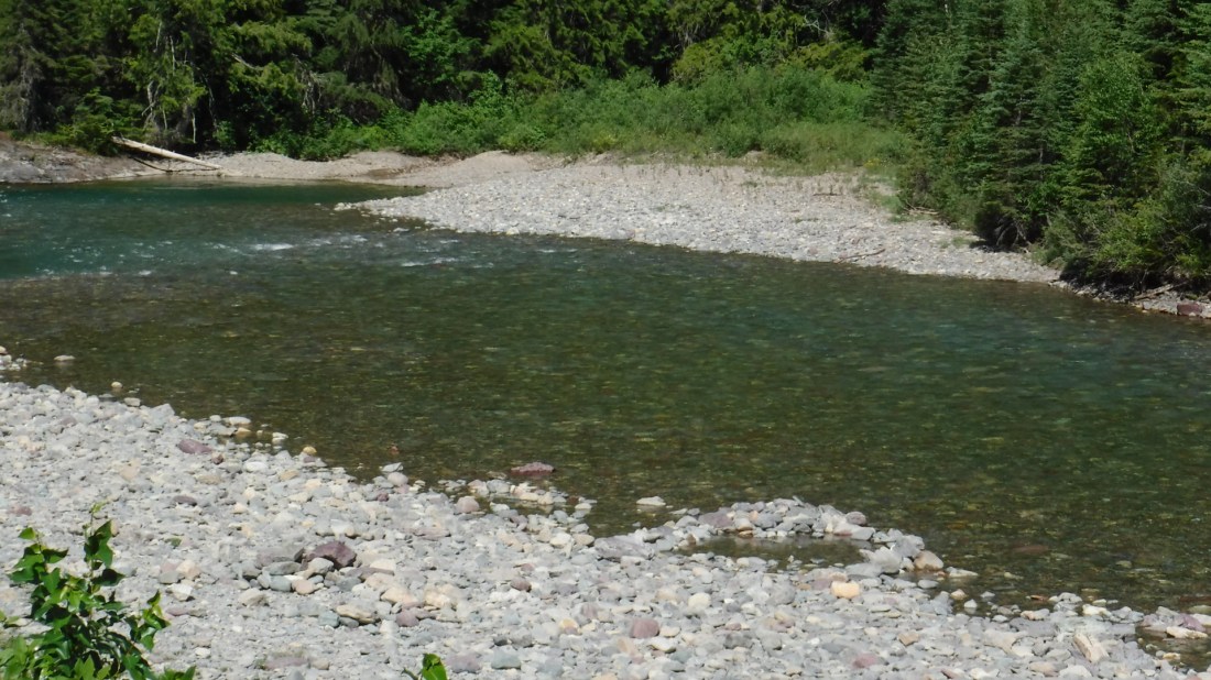 684D29F5-C60C-4DAF-865A-5C6168F28980