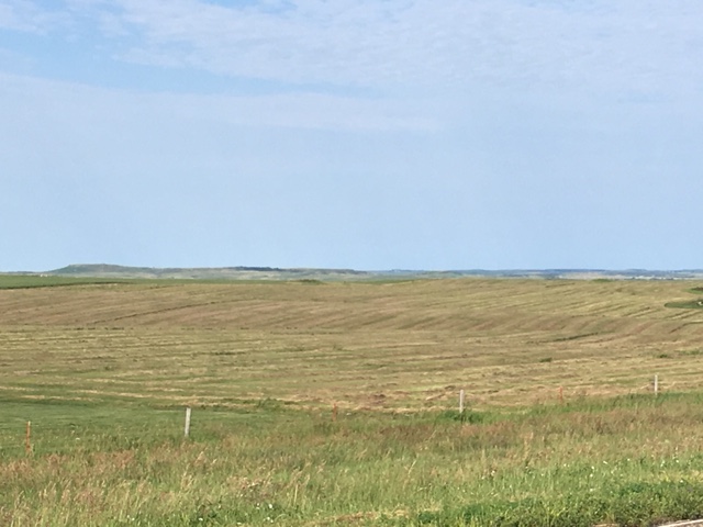 755D12E5-3826-465A-9E9F-825F9E6BC692