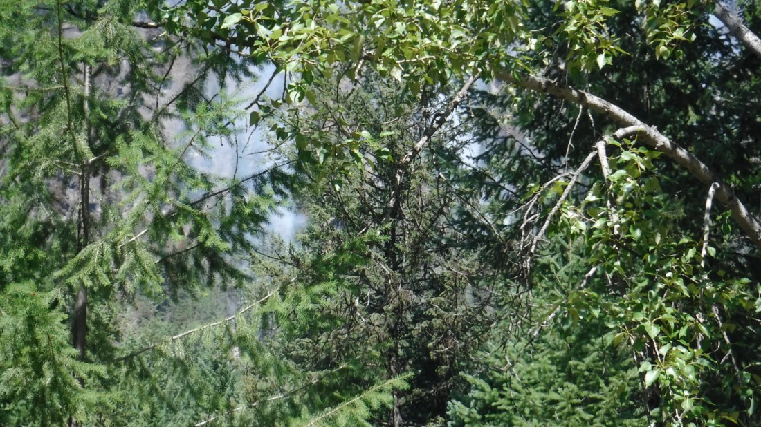 81DF3932-88BC-454C-8382-927DB4C7CED4