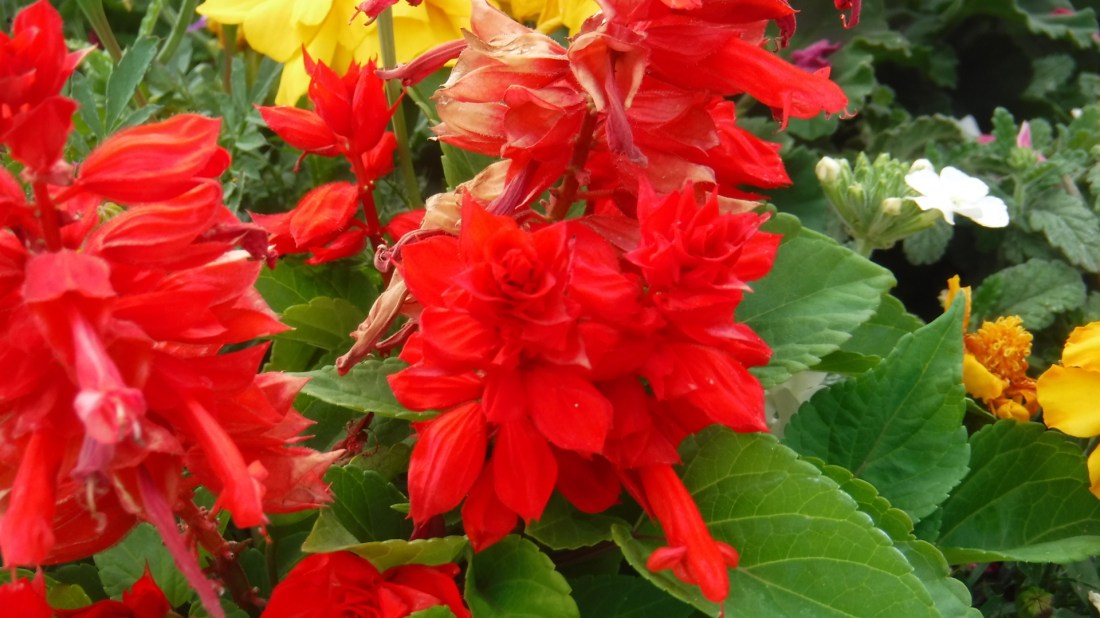 94647DB7-E9BD-4E12-9B7D-FD4763D1CB73