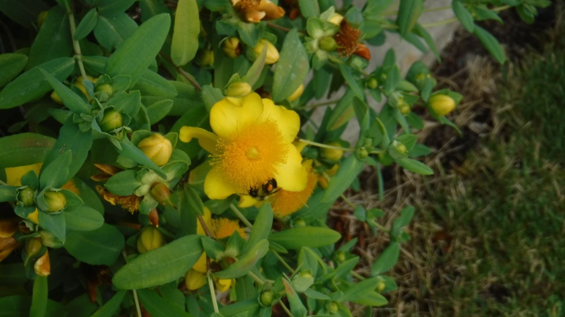 96F7F9C8-8142-4F56-ABD4-9CB219515080