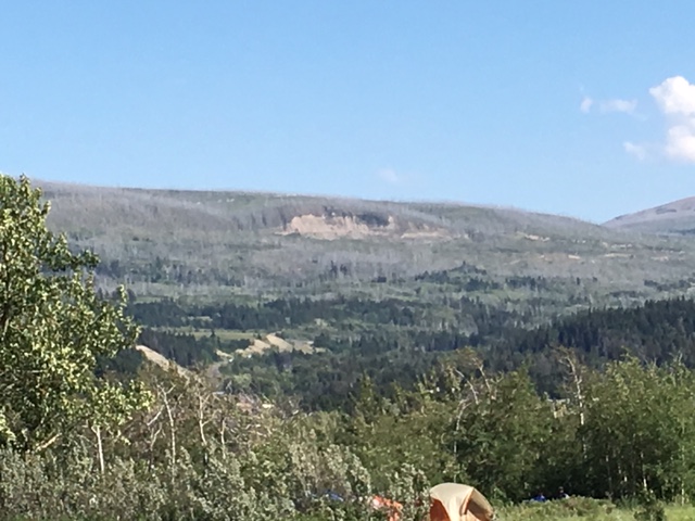 AF163908-5587-4751-9302-13ABF3AE97A3